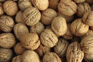 Nueces previenen cáncer de seno