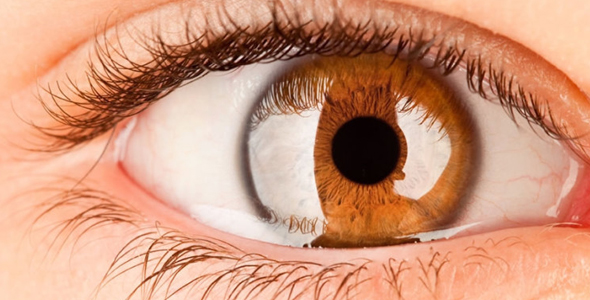 5 tips para mantener una perfecta salud ocular - Farmacia Elia Turrión